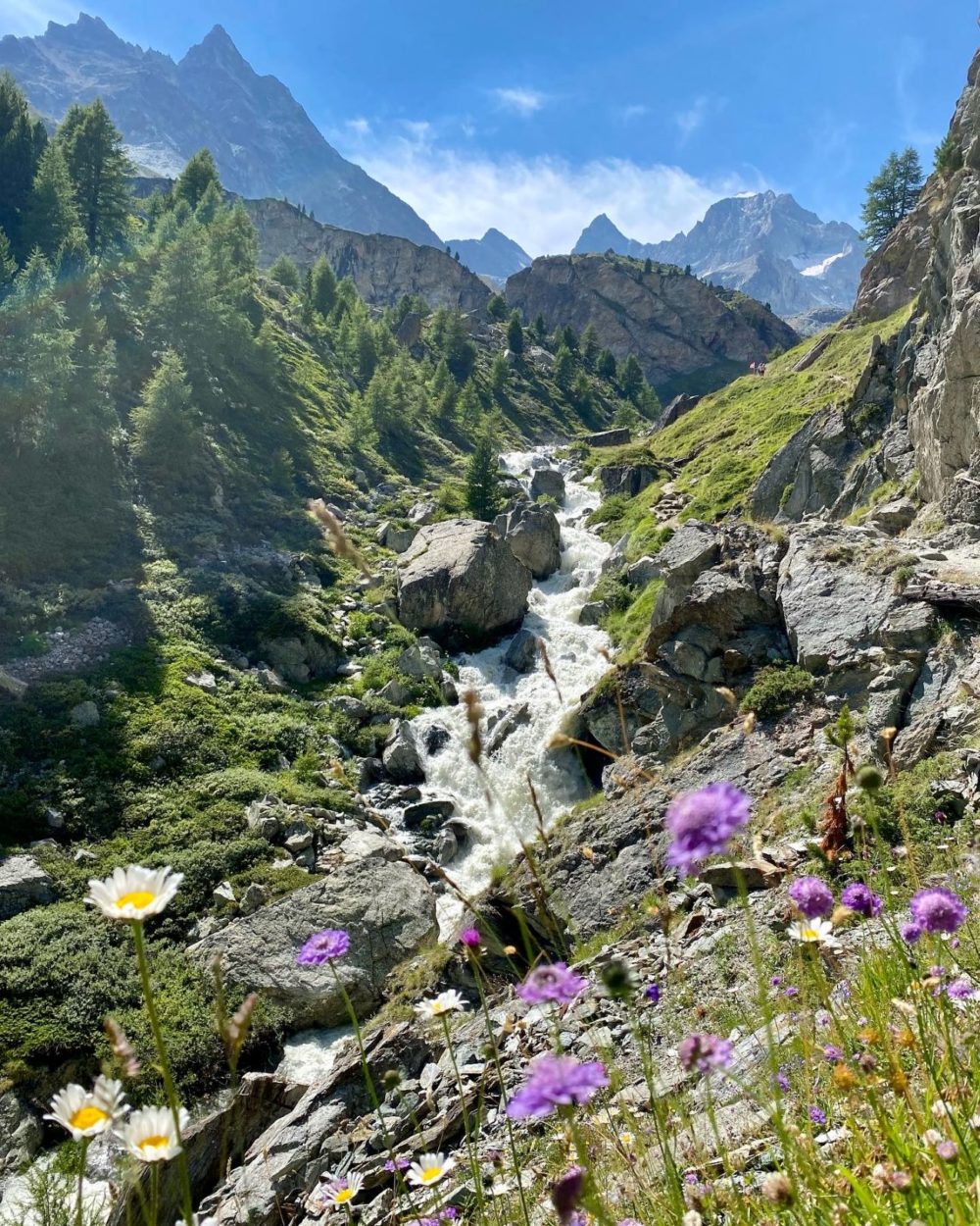 Sveitsin alpit ja Italian Lago Maggiore järvi